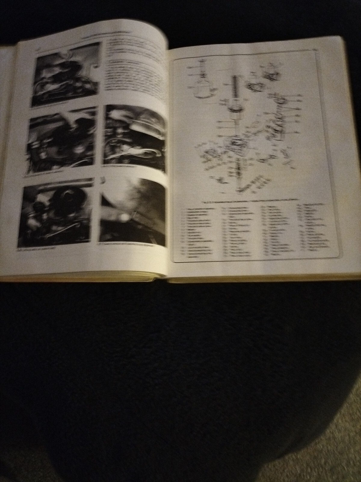 Picture 4 of 5
