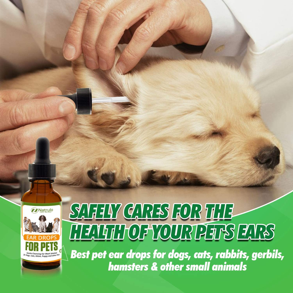 DOG CAT Ear Drops Infection Antibiotic Treatment Medicine Yeast Fungus