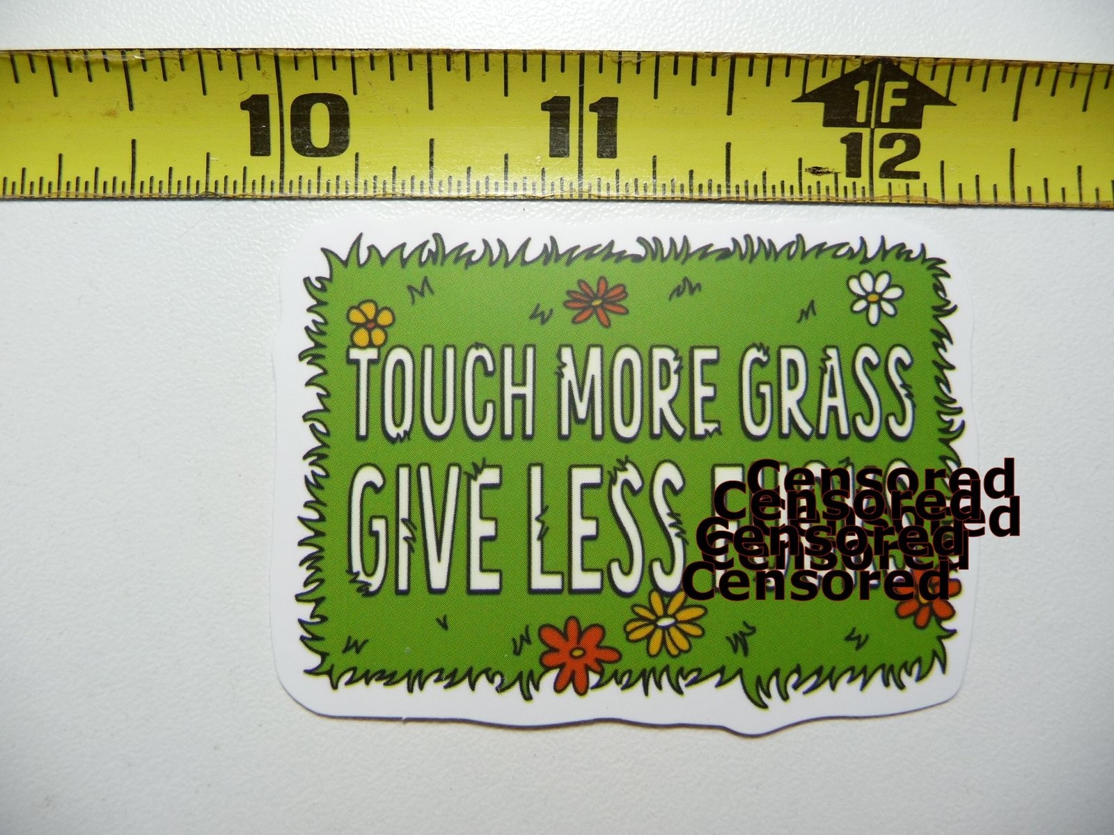 Carefree Touch More Grass Give Less F**ks Funny Sarcastic Sticker Decal