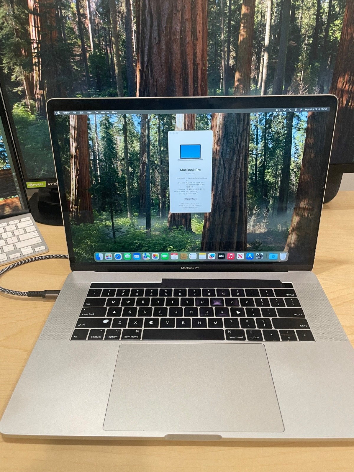 Apple MacBook Pro 15 inch (256GB SSD, Intel Core i7-8750H, 2.2GHz, 16GB RAM