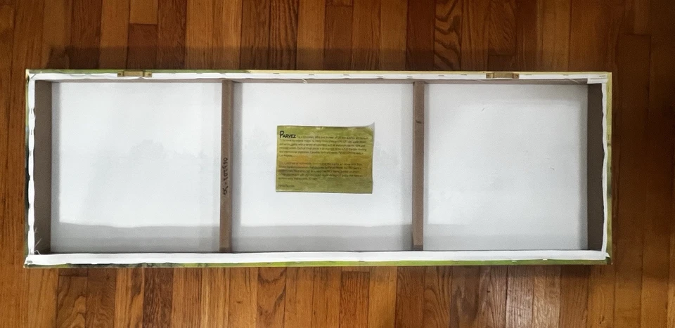 Parvez Taj Printed Canvas Painting Horizontal Forest 45x15x1.5” wooden frame - Image 2 of 4