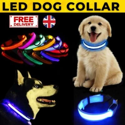 LED Dog Collar Light up Adjustable USB Rechargeable Pet Safety Luminous ALL SIZE