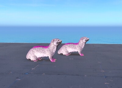 Otter Breeding Pair Ark Survival Ascended PVE ASA PC/Xbox/PS5