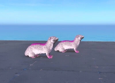 Otter Breeding Pair Ark Survival Ascended PVE ASA PC/Xbox/PS5