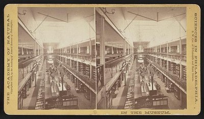 Photo:[Academy of Natural Sciences] - In The Museum.
