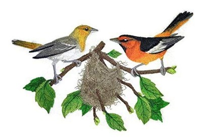 Nature Weaved in Threads, Amazing Birds Kingdom Bullock's Orioles and Nest [Cust