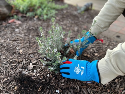 Morewell- Daisy Rose Embroidery Garden Gloves with Touchscreen Function - Picture 54 of 59
