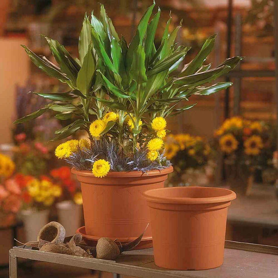 Kübel GEO Ø45cm terracotta Blumenkübel Blumentöpfe Terrasse Blumen Garten Balkon - Bild 2 von 3