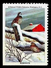 1966 NATIONAL WILDLIFE FEDERATION Poster Stamp - BOBWHITE QUAIL 🦋 NWF 1966 🦋