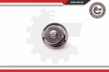 Thermostat Jaguar XK8