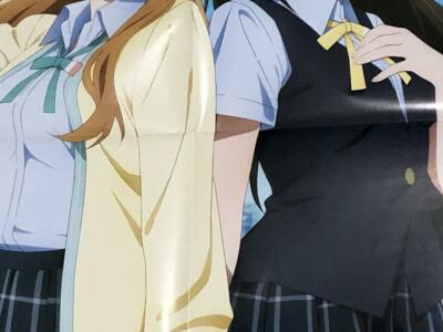 LoveLive! Nijigasaki High School Idol Club Poster Plastic Plate