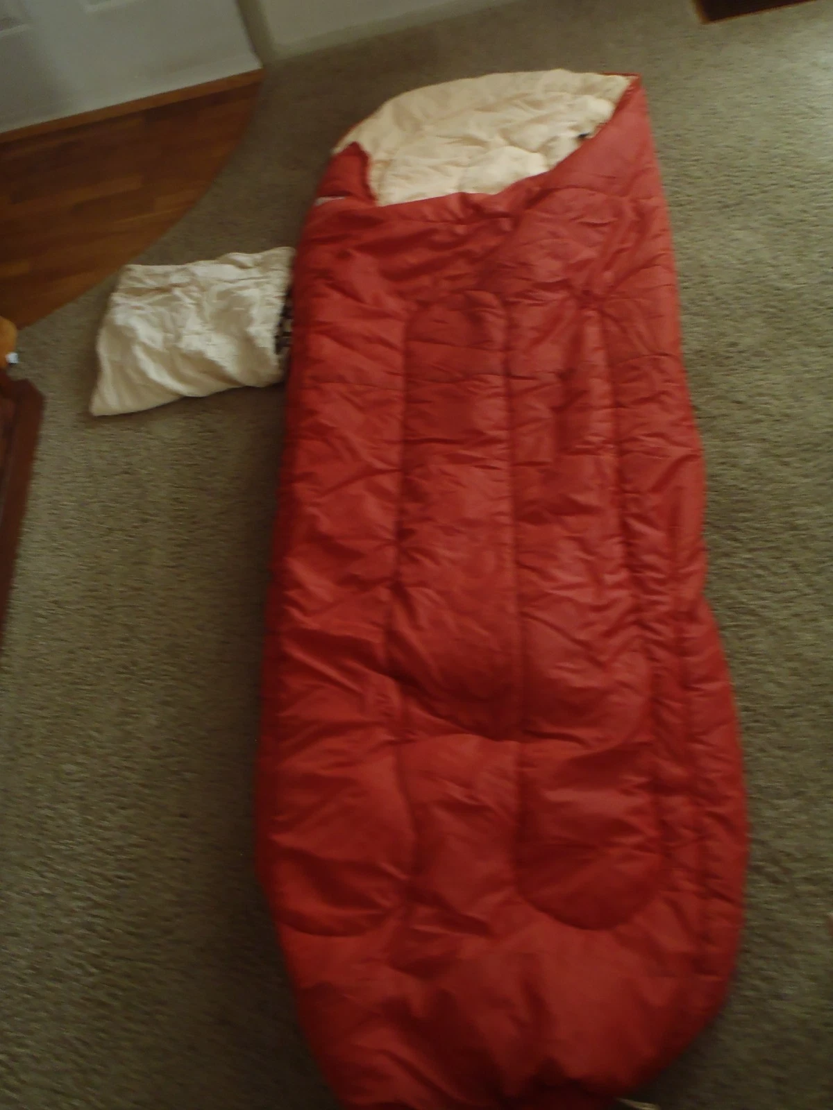 Coleman Peak 1 , 0° -10° Mummy Sleeping Bag W/ Compression & Stuff Sack