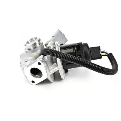DELPHI EG10435-12B1 AGR-Ventil für FORD Focus II Schrägheck (DA, HCP, DP)