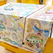 70% Cashmere & 30% Silk Wrap Scarf Water Park Print Double Face Print Shawl 53"