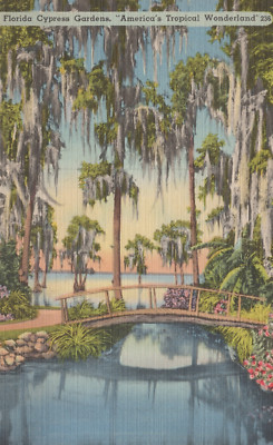 Rustic Bridge at Tropical Cypress Gardens FL Florida Tree c1930s Postcard 14339a