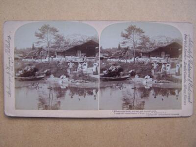 Schweiz Stereoskop Stereo View Stereoscopic bitte nach unten scrollen