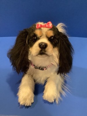 CUDDLE CLONE brand plush CAVALIER KING CHARLES SPANIEL 