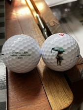 2026 Rory Mcilroy Masters Champion Gnome Logo Golf Ball Free Shipping