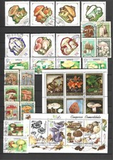 Lot de timbres thématiques oblitérés de divers pays : Champignons
