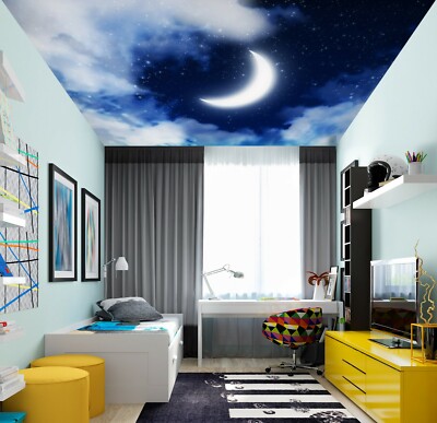3D White Moon 1848 WallPaper Murals Wall Print Decal Wall Deco AJ WALLPAPER