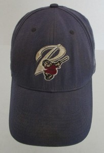 san diego padres friar hat