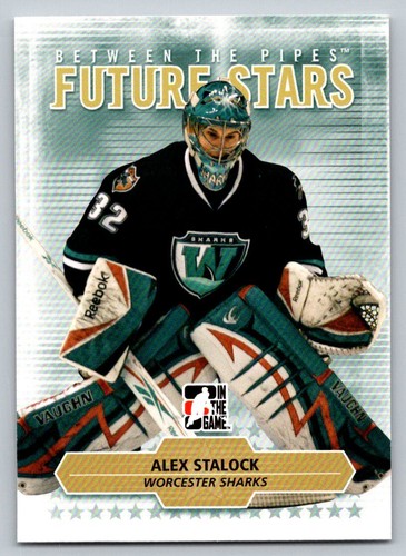 2009-10 ITG Between The Pipes - Pick From List - Picture 3 of 92