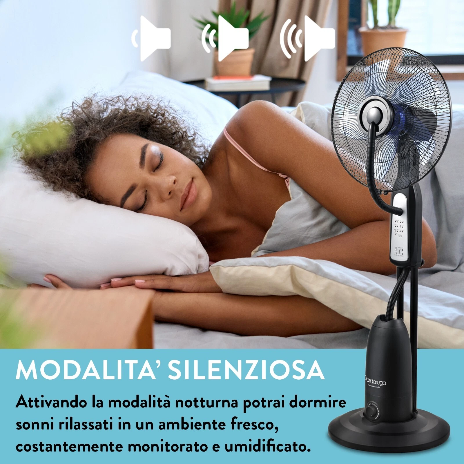 Foto 6 di 7