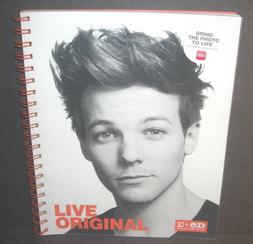 LOUIS TOMLINSON 1D One Direction Choose Bracelet Notebook Sticker or Washi Tape - Picture 7 of 12