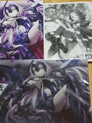Debuneko Fate FGO Color Fan Art & Sketch Book with 2 clear file set C95
