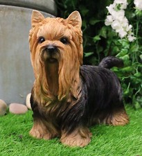 Long Haired Yorkie Statue 11.5"L Pet Pal Yorkshire Terrier Dog Figurine Decor