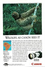 1991 Canon EOS 1 Camera Maned Sloth Vintage Print Ad
