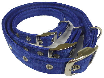 Official Libby's Buckle Collar DOG COLLAR Small, Med, Large