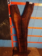 A355 - 1 3/4" THICK - black walnut live edge slab table shelf bench