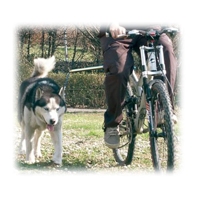 WalkyDog