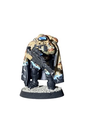 Warhammer 40k Primaris Vanguard Eliminator miniature