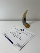 The Cave 2005 Monster Claw Production Used Model Original Horror Movie Prop | eBay US (Buy It Now)