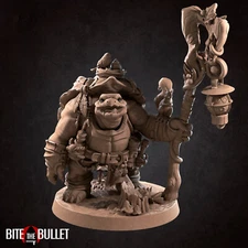 Tortle Druid from Bite the Bullet's Tortle set. Total height apx. 66mm
