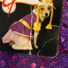 Rapunzel Queen of the Castle Dog Halloween Costume Large 20-29 Lb. NWT