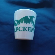 Collectible Destination Souvenir Vacation Breckenridge Colorado Shot Glass