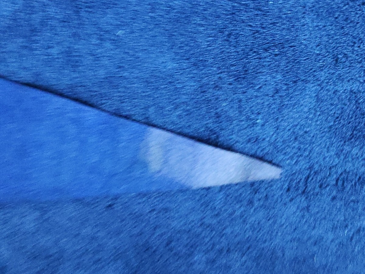 1321164_3