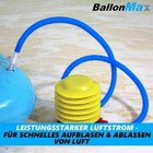 Bild 3 von 6