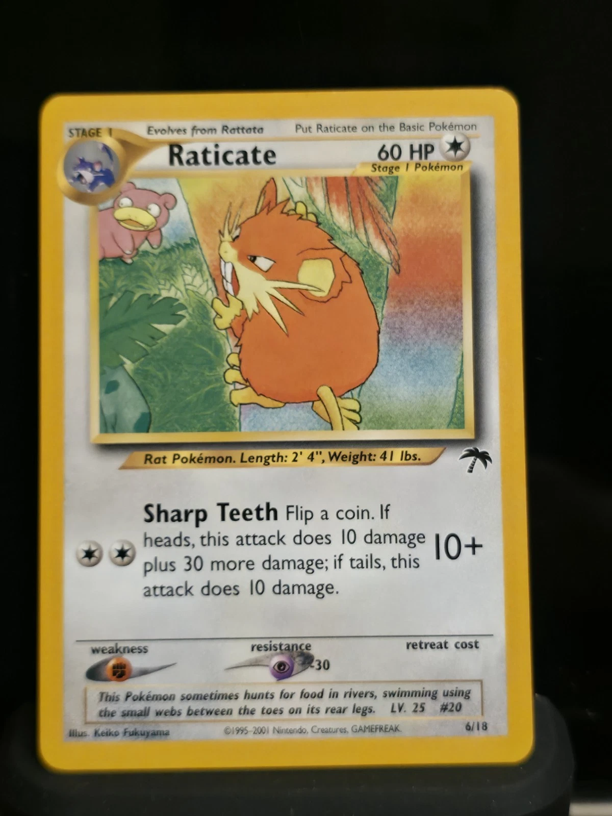 Raticate - Southern Islands #6 Price & Value ($34.69) | PokeScope