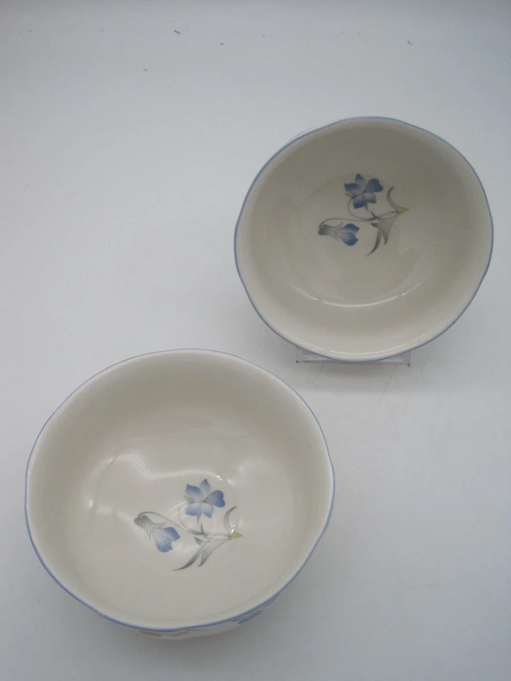 Villeroy & Boch - Riviera - Dessert- Müslischale / Schüssel 2 Stück - Ø 12 cm