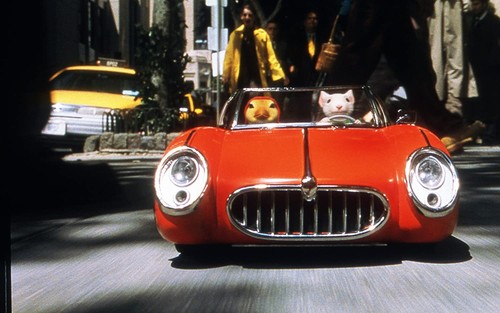 Stuart Little 2 (Two-Disc Blu-ray/DVD Combo) (Blu-ray) Geena Davis Hugh Laurie - Zdjęcie 9 z 10