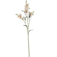 Kunstblume PräRielilie, 2Er Set, Farbe Apricot, HöHe Ca. 101 Cm