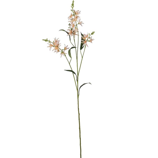 Kunstblume PräRielilie, 2Er Set, Farbe Apricot, HöHe Ca. 101 Cm-image