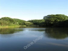 Photo 6x4 The Fishpond Caneheath The land here was once owned by Michelha c2009
