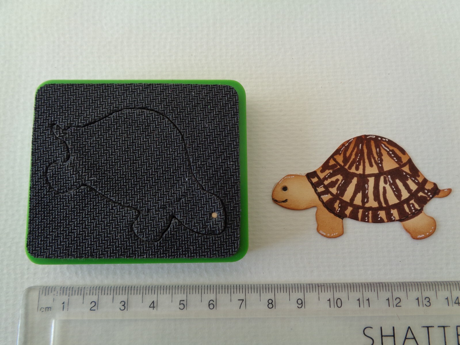 Sizzix Turtle/Tortoise Craft Die Cutter eBay