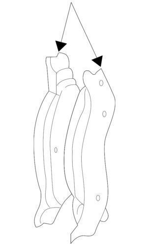 Repuesto para Ford (P/N XU2Z-2V001-AUA)