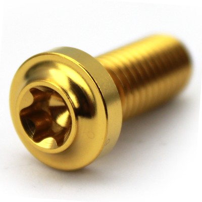 Titan Schraube Tech-Design Titanium Grade 5 Ti6Al4V - M8x20 gold